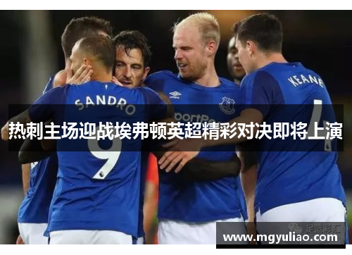 热刺主场迎战埃弗顿英超精彩对决即将上演