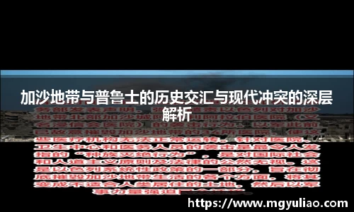 K1体育官方app